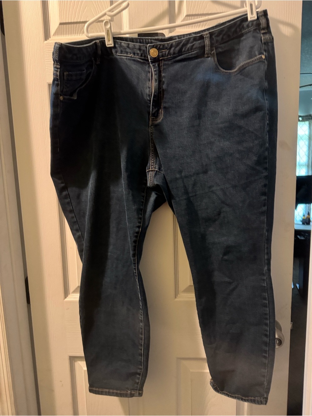 Lane Bryant Skinny jeans
